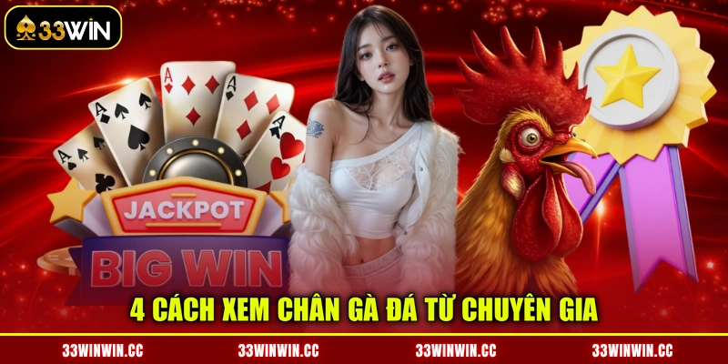 4 cách xem chân gà đá từ chuyên gia