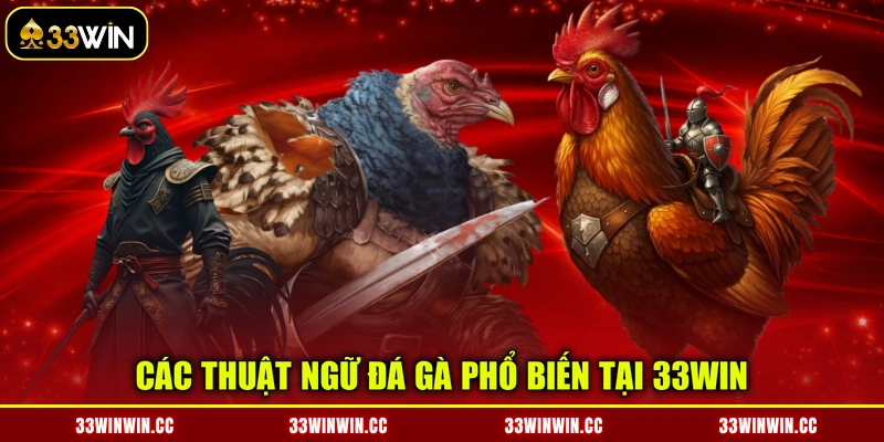 Các thuật ngữ đá gà phổ biến tại 33WIN