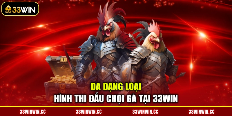Đa dạng loại hình thi đấu chọi gà tại 33WIN