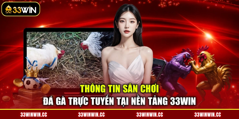 Thông tin sân chơi đá gà trực tuyến tại nền tảng 33WIN